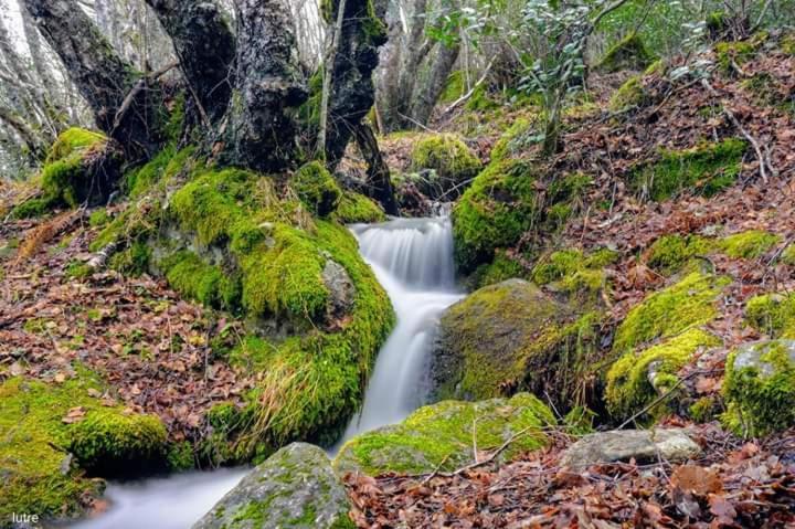 Casa Rural Las Nieves Villa San Ciprián Dış mekan fotoğraf